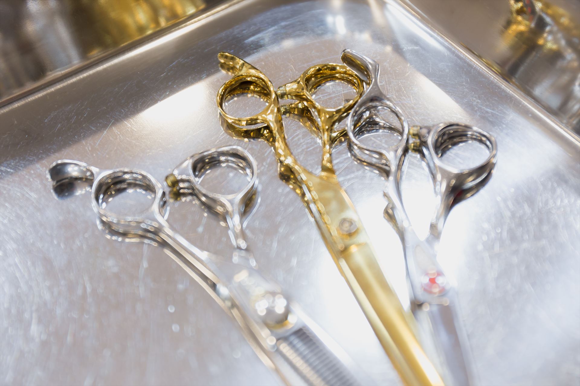 AdobeStock_250425997