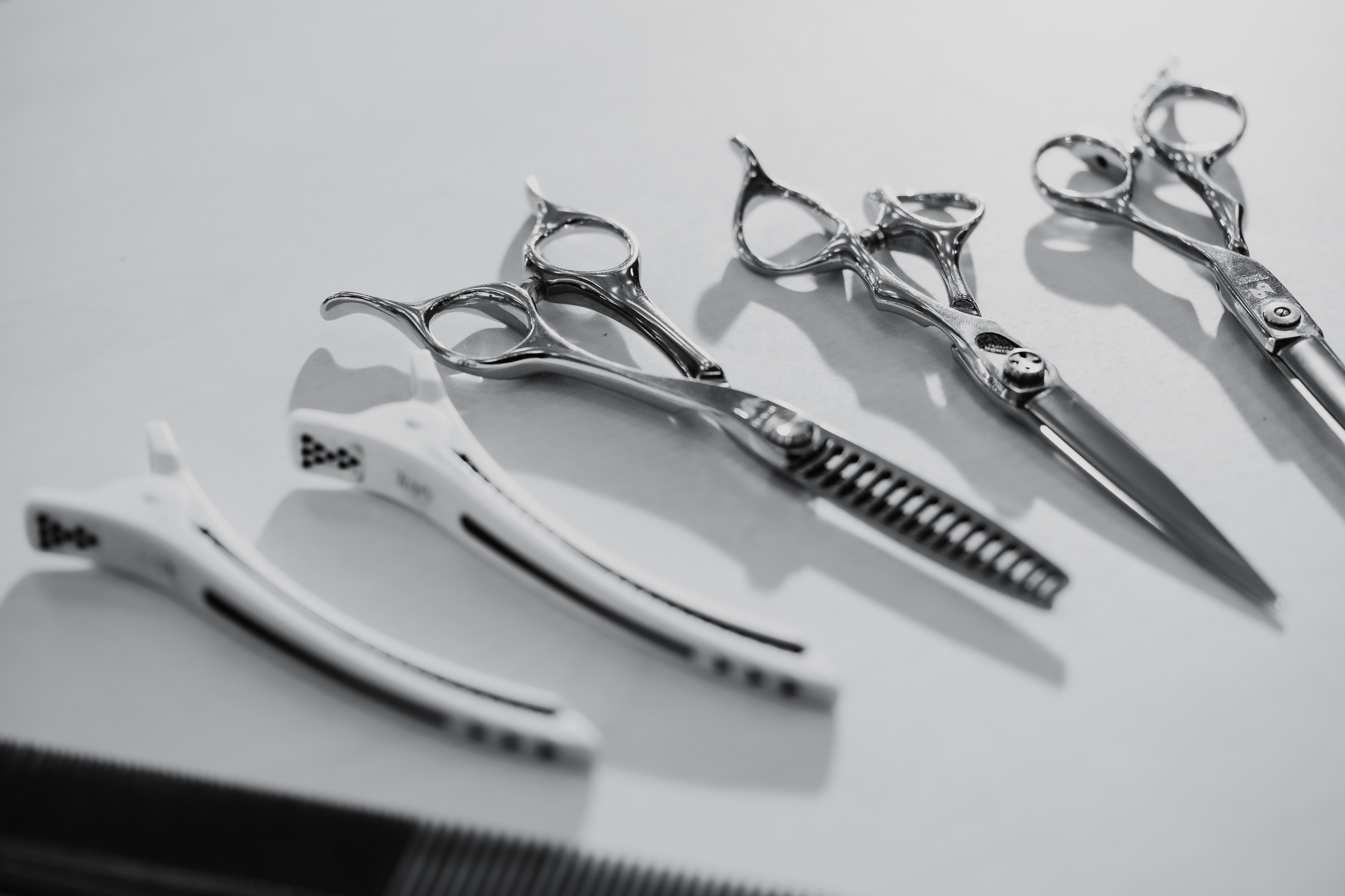 川崎市への訪問にも対応